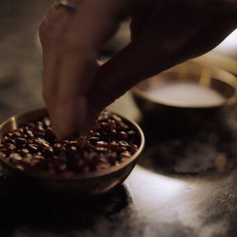 יד מושטת אל פולי קפה